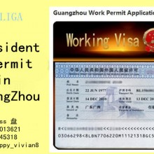 广州外国人来华工作许可签证办理服务公司 专