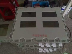 防水防腐仪表箱BXK8050厂家直销